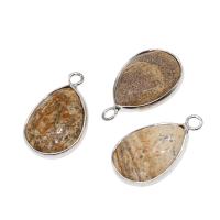 Brass Pendant with Picture Jasper Teardrop mixed colors Sold By PC