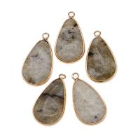 Bijoux Pendentifs en pierres gemmes, laiton, avec pierre gemme, couleurs mélangées, 32x17x6mm, Vendu par PC