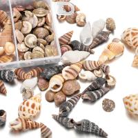 DIY ジュエリー用品, 貝, とともに トランペット形貝, 貝, 異なるスタイルを選択, 無色, 65x50mm, 売り手 ボックス