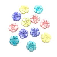 Natural Colored Shell Beads White Lip Shell Flower Carved DIY 19mm Sold By PC
