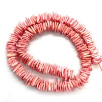 Perles de coquille colore naturelle, DIY, plus de couleurs à choisir, 10mm, Vendu par 14.96 pouce brin