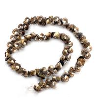 Trumpet Shell Beads DIY 11-14mm Sold Per 14.96 Inch Strand