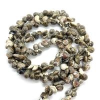 Trumpet Shell Beads DIY 6-20mm Sold Per 29.53 Inch Strand