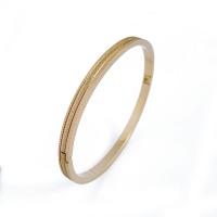 Titanium Steel Bangle plated fashion jewelry Sold By PC