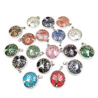 Gemstone Přívěsky Šperky, Drahokam, s Zinek, Tree of Life, barva stříbrná á, různé materiály pro výběr, více barev na výběr, 28x30mm, Prodáno By PC