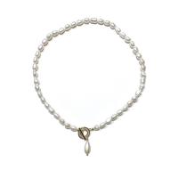 Freshwater Pearl Brass Chain Necklace, Pérolas de água doce, with cobre, cromado de cor dourada, joias de moda, branco, comprimento 14.96 inchaltura, vendido por PC