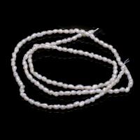 Perlas Arroz Freshwater, Perlas cultivadas de agua dulce, Bricolaje, Blanco, 2.0-2.3mm, Vendido para 14.96 Inch Sarta