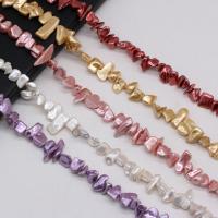 Natural Colored Shell Beads, Chips, DIY, more colors for choice, 8x8-8x15mm, Sold Per 14.5 Inch Strand