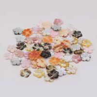 Perles de coquille colore naturelle, fleur, DIY, plus de couleurs à choisir, 15x51mm, Vendu par PC