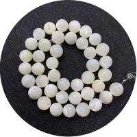 Perles en coquillage blanc naturel, coquille, Rond, DIY & normes différentes pour le choix, blanc, 4-14mm, Vendu par 14.96 pouce brin