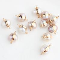 Gėlo vandens perlų Jungtis, su Žalvarinis, aukso spalva padengtas, Pasidaryk pats, daugiau spalvų pasirinkimas, 15x10mm, Pardavė PC
