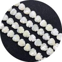 Naturalne białe koraliki z muszli, Muszla biała, DIY & różne style do wyboru, biały, 10-21mm, sprzedawane na 14.96 cal Strand