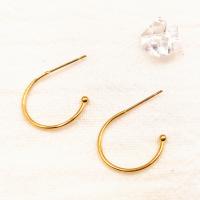 Titanium Steel Earring Hook, for woman, more colors for choice, 50PCs/Bag, Sold By Bag