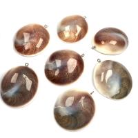 Shells Fossil Pendant, irregular, Unisex, clear, 40x45mm-45x50mm, Sold By PC