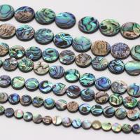 Abalone Shell Beads Round Sold By PC