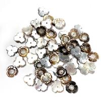 Perles de coquillage noire, coquille noire, fleur, couleurs mélangées, 10mm, Vendu par PC