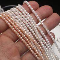 Runde ferskvandskulturperle Beads, Ferskvandsperle, du kan DIY, blandede farver, 3.5-4mm, Solgt Per Ca. 15 inch Strand