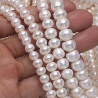 Knap ferskvandskulturperle Beads, Ferskvandsperle, du kan DIY & forskellig størrelse for valg, hvid, Solgt Per Ca. 15 inch Strand