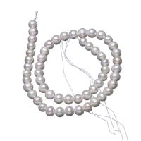 淡水養殖の真円真珠, 天然有核フレッシュウォーターパール, DIY, ホワイト, 7-8mm, で販売される 約 14.17 インチ ストランド