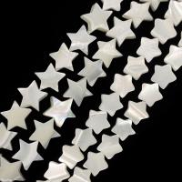 Natural White Shell Beads, Star, DIY & different size for choice, white, Sold Per Approx 15 Inch Strand