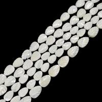White Lip Shell Beads, DIY & different size for choice, white, Sold Per Approx 15 Inch Strand