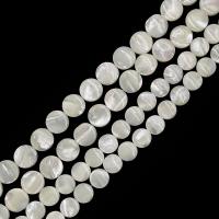 Perles de coquillages blancs, Lèvre blanche, Rond, DIY & normes différentes pour le choix, blanc, Vendu par Environ 15 pouce brin