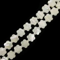 الأبيض الشفاه شل الخرز, الشفة البيضاء, زهرة, ديي, أبيض, 12mm, تباع لكل تقريبا 15 بوصة حبلا