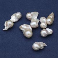 Cultured No Hole Freshwater Pearl Beads, irregular, white, 13x23-15x25mm, Sold By PC