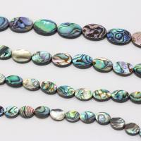 Abalone Shell Beads Oval multi-colored Sold By PC