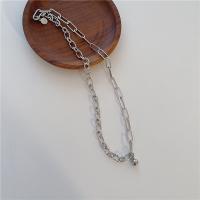 Titanstahl Halskette, poliert, für Frau, Silberfarbe, Länge:ca. 45 cm, verkauft von PC
