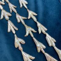 Koraliki Keishi z hodowlanych pereł słodkowodnych, Perła, obyty, różnej wielkości do wyboru, biały, 19-25mm, sprzedawane na około 14.57 cal Strand