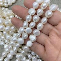 Knap ferskvandskulturperle Beads, Ferskvandsperle, Uregelmæssig, du kan DIY & forskellig størrelse for valg, hvid, Solgt Per Ca. 14.57 inch Strand