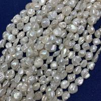 Perles de culture d'eau douce Keishi, perle d'eau douce cultivée, baroque, blanc, 7-9mm, Vendu par Environ 15.35 pouce brin
