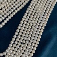 Runde ferskvandskulturperle Beads, Ferskvandsperle, du kan DIY, hvid, 4mm, Solgt Per Ca. 15.35 inch Strand