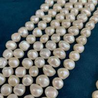 Tlačítko kultivované sladkovodní Pearl Beads, Keishi, DIY, bílý, 9-10mm, Prodáno za Cca 14.57 inch Strand