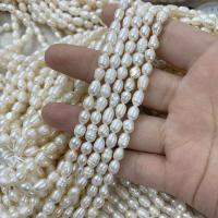 Perlas Arroz Freshwater, Perlas cultivadas de agua dulce, Blanco, 5-6mm, Vendido para aproximado 13.78 Inch Sarta