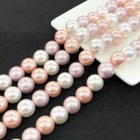 Muschelkern Perle, rund, poliert, DIY & verschiedene Größen vorhanden, gemischte Farben, verkauft per ca. 15 ZollInch Strang