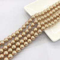 Shell Pearl perla, Cerchio, lucido, DIY, nessuno, 10mm, Venduto per Appross. 15 pollice filo