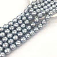 Shell Pearl perla, Cerchio, lucido, DIY, blu, 10mm, Venduto per Appross. 15 pollice filo