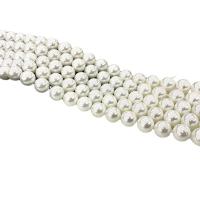 Muschelkern Perle, rund, DIY & verschiedene Größen vorhanden, weiß, verkauft per ca. 15 ZollInch Strang