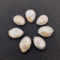 Perline perle d'acqua dolce naturale, perla d'acquadolce coltivata naturalmente, Irregolare, lucido, unisex, bianco, 12x15mm, Venduto da PC