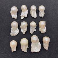 Naturalne perły słodkowodne perełki luźne, Perła naturalna słodkowodna, Barok, obyty, dla obu płci, biały, 10-20x30-38mm, sprzedane przez PC