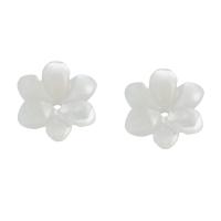 Shell Bead Cap, Flower, white, 9.50x9.50x3mm, Hole:Approx 1mm, Sold By PC