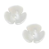 Shell Bead Cap, Flower, hvid, 12x12x3mm, Hole:Ca. 1mm, Solgt af PC