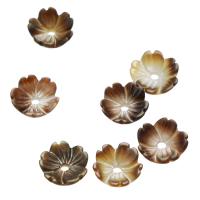 Shell Bead Cap, Flower, donn, 6.50x6.50x2mm, Poll:Thart 1mm, Díolta De réir PC