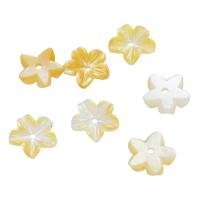 Shell Bead Cap, Flower, yellow, 8.50x8.50x2mm, Hole:Approx 1mm, Sold By PC