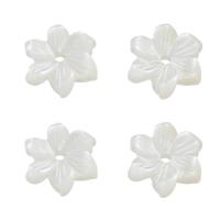 Shell Bead Cap, Flower, hvid, 7x7x2mm, Hole:Ca. 1mm, Solgt af PC
