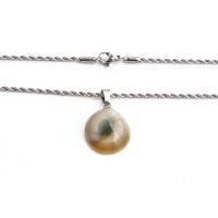 Shell Necklaces Stainless Steel with Shell & Zinc Alloy silver color plated fashion jewelry Sold By PC