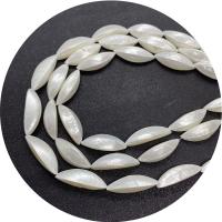 Prirodni White Shell perle, Bijela Shell, možete DIY, bijel, 12x30mm, Prodano Per 14.96 inčni Strand