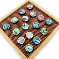 Abalone Shell Beads Flat Round DIY 8-20mm Sold By PC